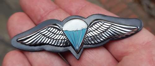 Full Size Para Wing