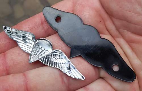 Full Size Para Wing