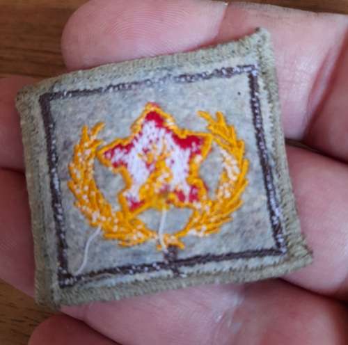 SADF 5 Year Volunteer Patch
