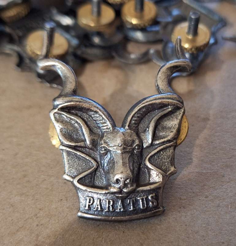 SWATF BERET BADGE