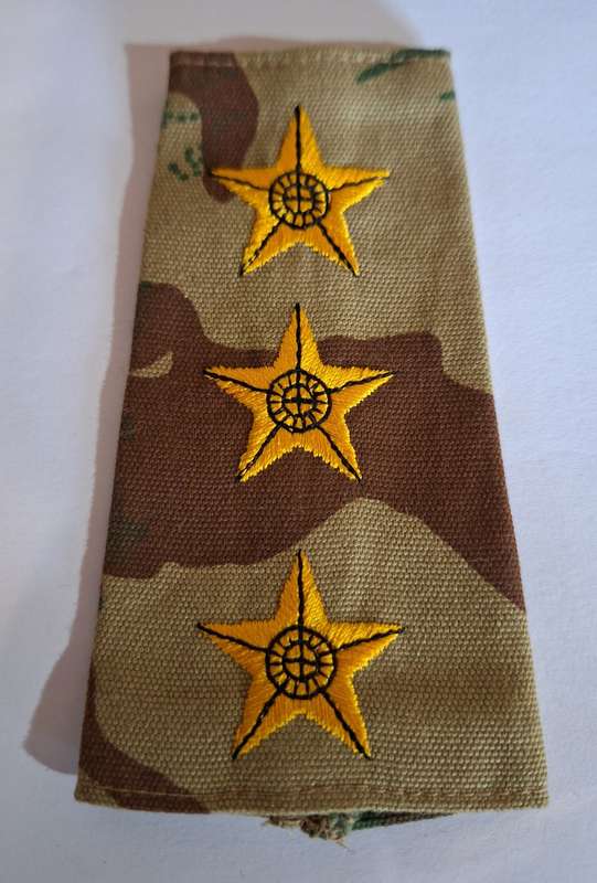 OLD SAP CAMO RANK