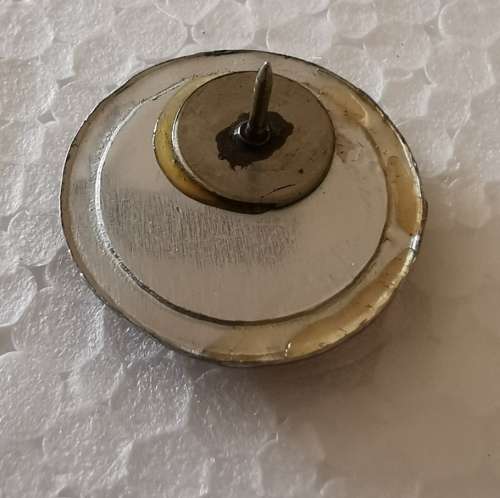 Old Recce Roundel pin with date 1978 - 1988 *unknown to me what this was used for*