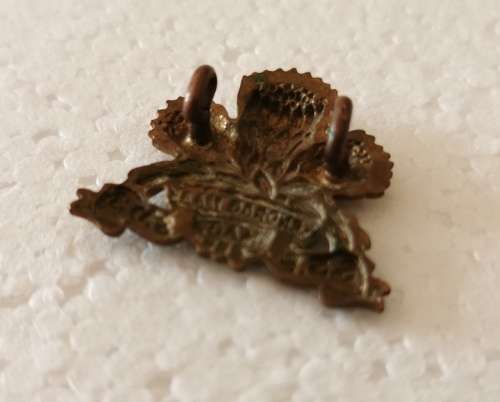 SADF collar badge