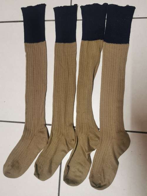 *Bid per Pair* Rhodesian BSAP Socks