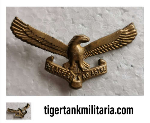 SAAF Cap Badge 1pin missing