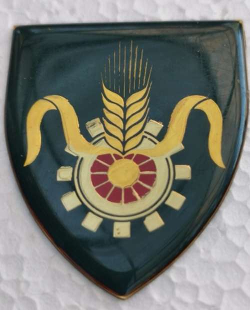 SADF Quartermaster General Flash
