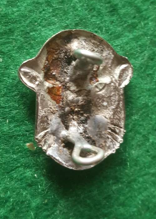 SADF Badge
