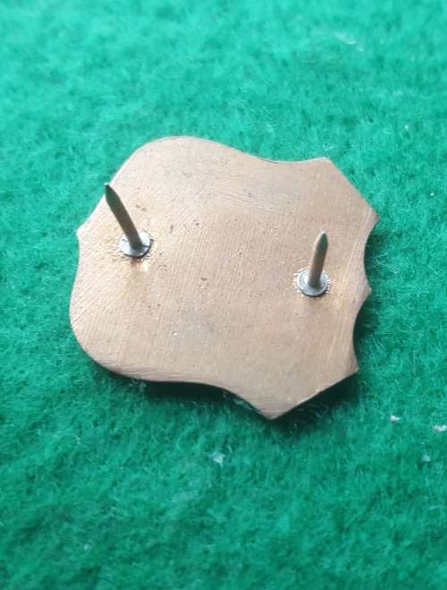 Old Military Badge