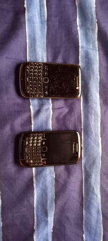 Blackberry bundle