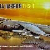 Airfix Model, BAe Sea Harrier FRS.1 1/48 Scale