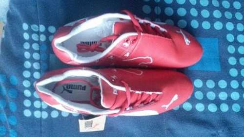 PUMA SHOES SIZE 9- BRAND NEW