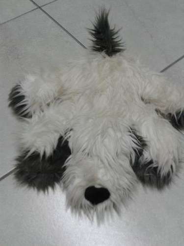 DOG TEDDYBEAR