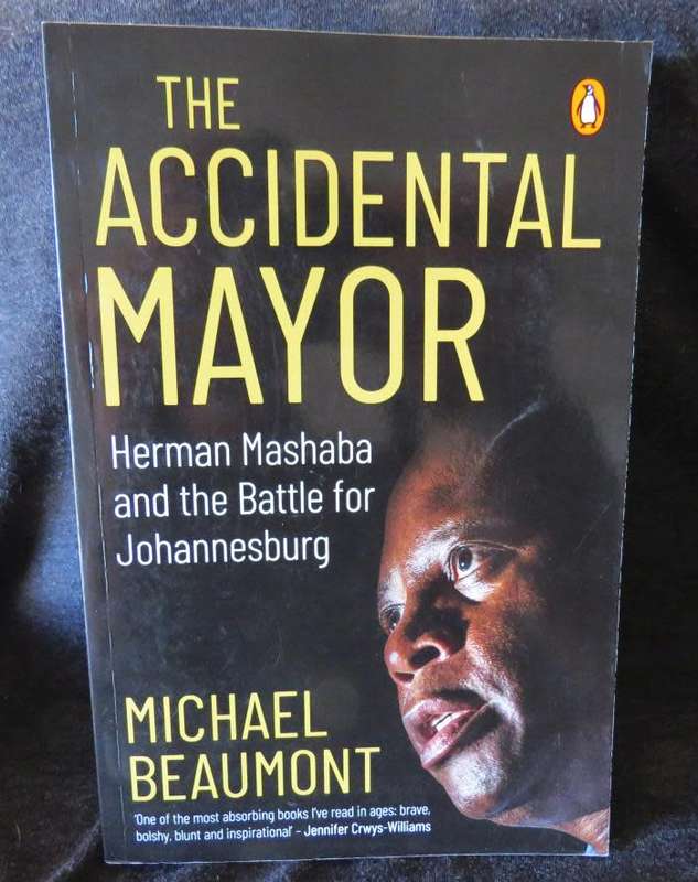 The Accidental Mayor - Michael Beaumont