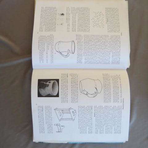 The Potters Dictionary Of Materials And Techniques - Frank Hamer