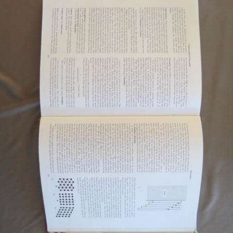 The Potters Dictionary Of Materials And Techniques - Frank Hamer