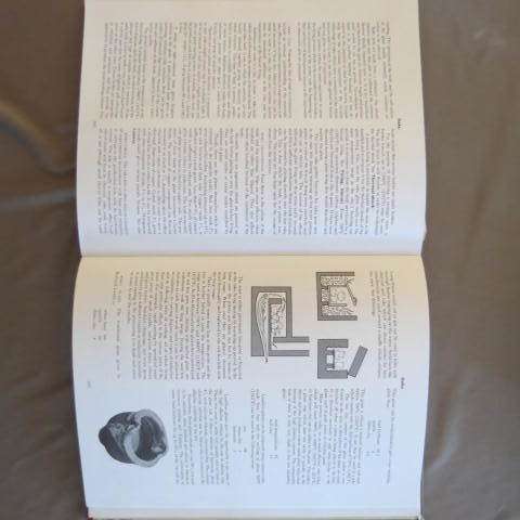 The Potters Dictionary Of Materials And Techniques - Frank Hamer