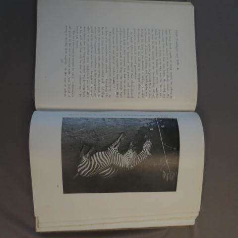 With Flashlight And Rifle: record of hunting adventures East Africa pp782 - C.G. Schillings (1906)