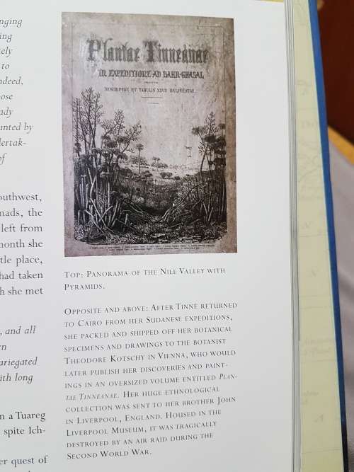 Women of Discovery: a celeibration of intrepid women who explored the world. M. Polk and M. Tiegreen