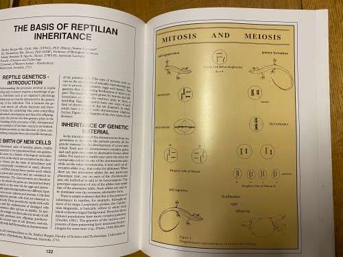 Ackerman Lowel (ed). The biology, husbandry and Healthcare of Reptiles Vol. I (hardcover)