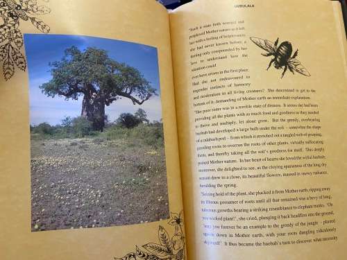 Umbulala: through the eyes of a Leopard by Lena Godsall Bottriell (artwork in mint condition).