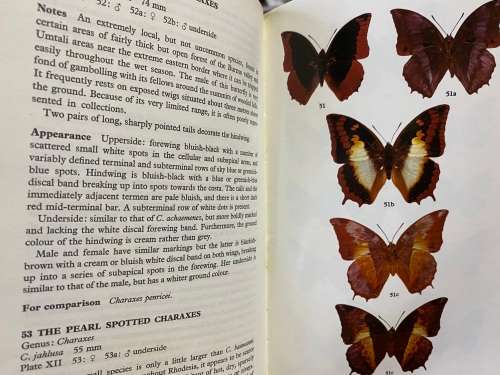 Butterflies of Rhodesia. Richard Cooper. Bundu Series.
