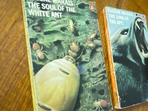 Eugene Marais. The Soul of the Ape & The Soul of White Ant.