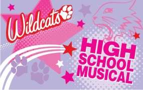 High School Musical Wildcats Area Rug