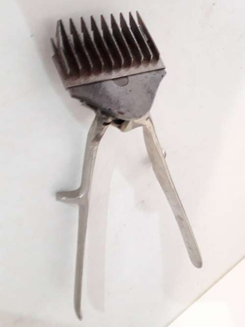 Elsa no 33  Chrome Clipper