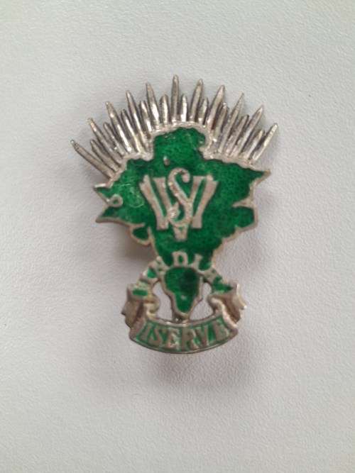 Womens Voluntary Services overseas WVS INDIA pin badge