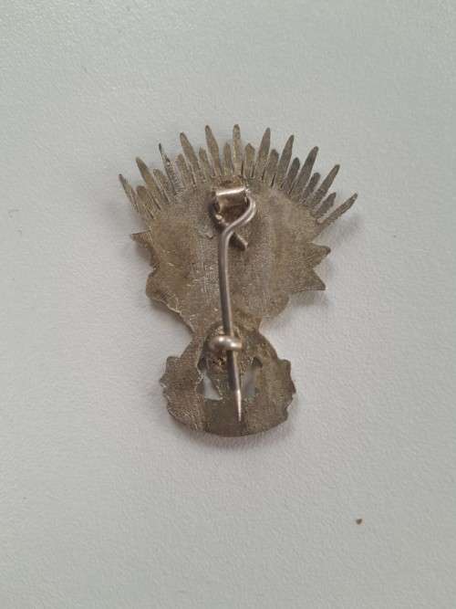 Womens Voluntary Services overseas WVS INDIA pin badge