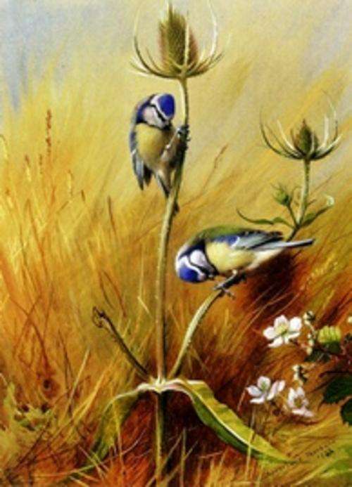 Prints for Silk Ribbon Embroidery