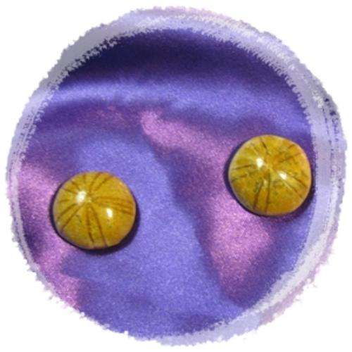 "SAND DOLLAR" - URCHIN FOSSIL's x 2 - CIRCUMFERENCE 2.7cm Approx.