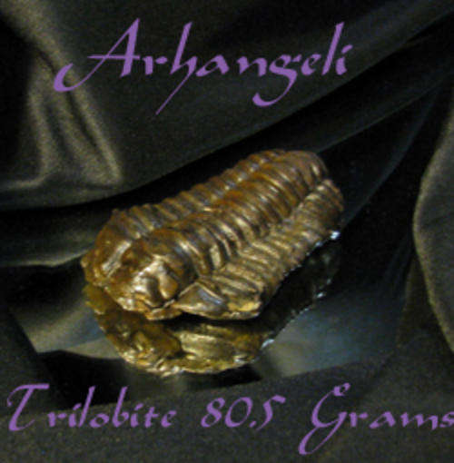 TRILOBITE 80.5 GRAMS