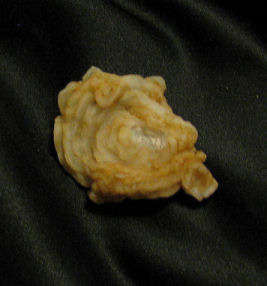 CARNELIAN ROSE