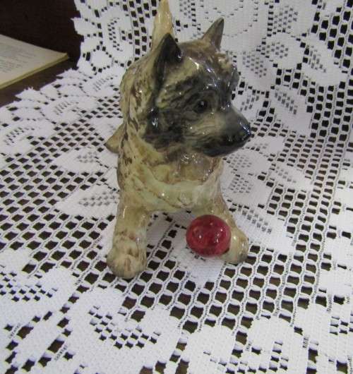 Fine Beswick  Cain terrier Dog with Ball