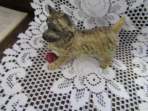 Fine Beswick  Cain terrier Dog with Ball