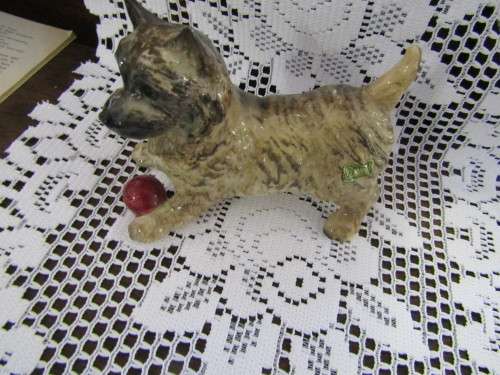 Fine Beswick  Cain terrier Dog with Ball