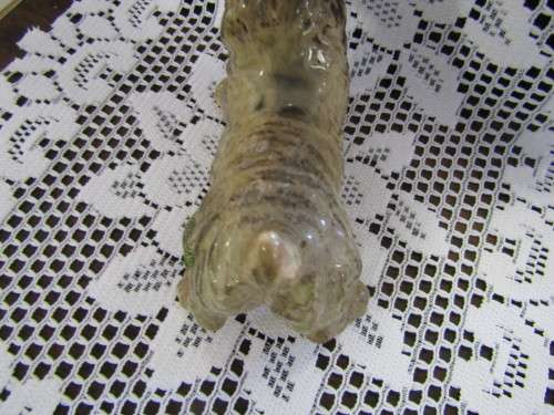 Fine Beswick  Cain terrier Dog with Ball