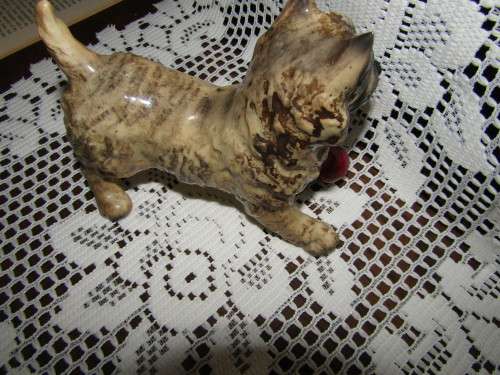 Fine Beswick  Cain terrier Dog with Ball