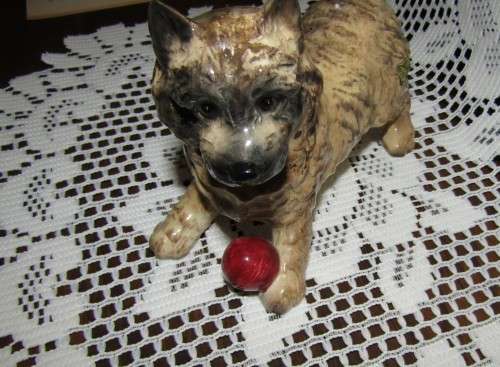 Fine Beswick  Cain terrier Dog with Ball