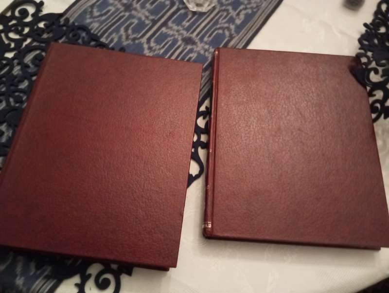 A commentary on Torah in 2 vol by the Chatham sofer