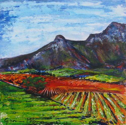 Cape Winelands 3