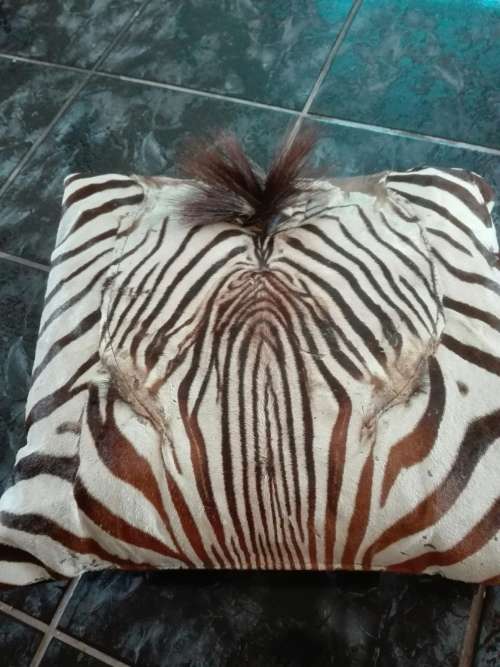 Zebra skin cushion 45x45 - complete head