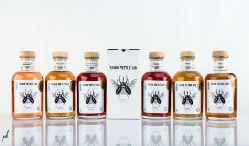 Rhino Beetle Gin 500ml - Cotton Candy