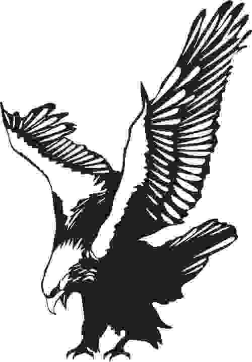 Vinyl Sticker