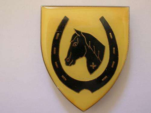 SADF EQUESTRIAN CENTRE SHOULDER FLASH (3 pins)