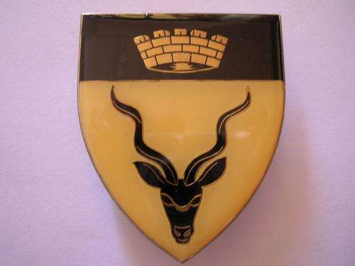 91 ARMOURED CAR REGIMENT SHOULDER FLASH (3 pins)