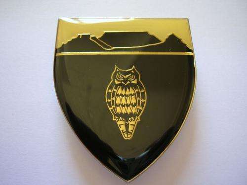 MILITARY INTELLIGENCE CAPE SHOULDER FLASH (3 pins)