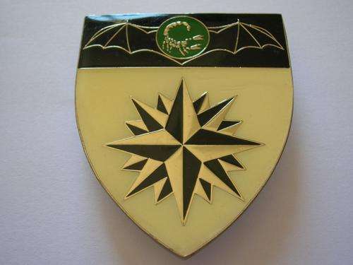 2 RECCE COMMANDO SHOULDER FLASH (3 pins)