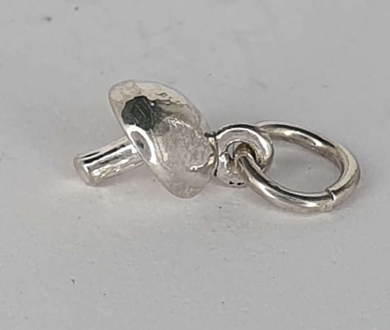 Mushroom CHARM!